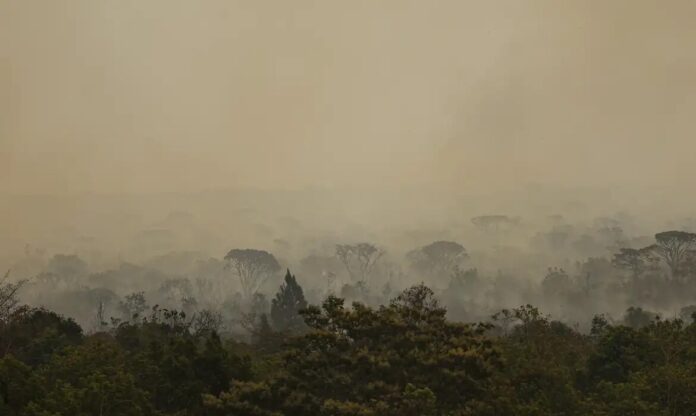 Força Nacional do SUS apoia atendimentos no Amazonas após incêndios