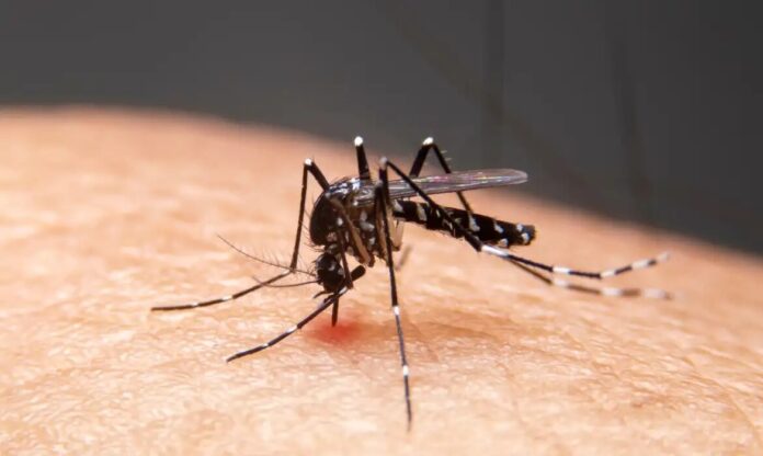 Mudanças climáticas já causam aumento de doenças infecciosas no país